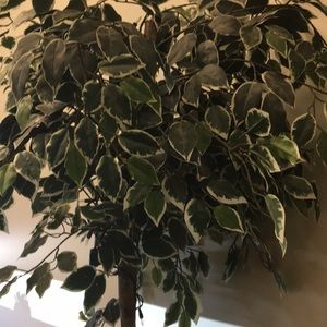 Meet your Posher, Brittney